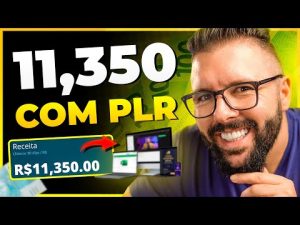 Leia mais sobre o artigo COMO INICIAR UM PROJETO PLR DO ZERO PASSO A PASSO